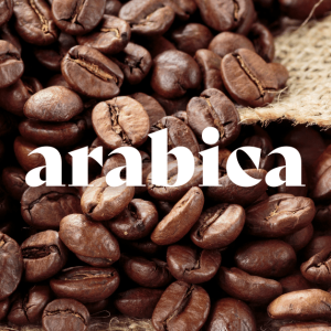 Café Arabica