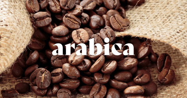 Café Arabica